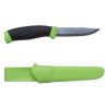 12158_Morakniv_Companion_green