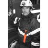 Companion_Rescue_action